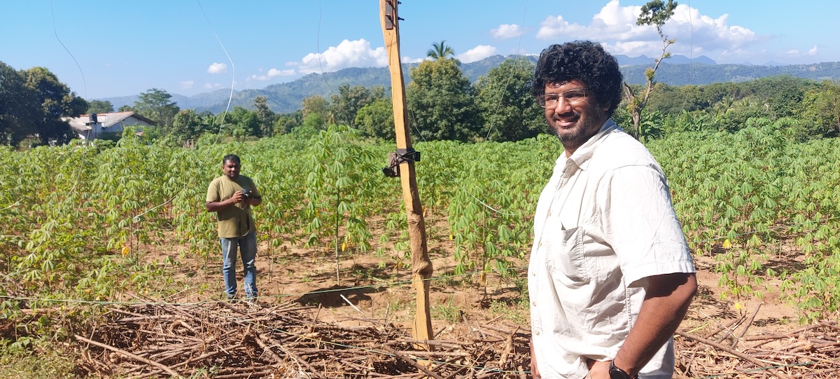 Team members from EFECT setting up camera traps in papaya control plot Udawalawe