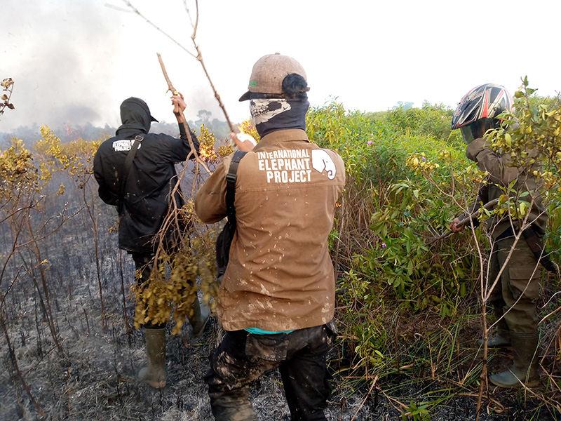 Fighting Fires to Protect Elephants