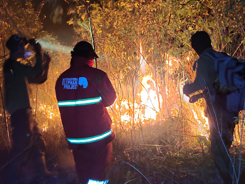Fighting Fires to Protect Elephants