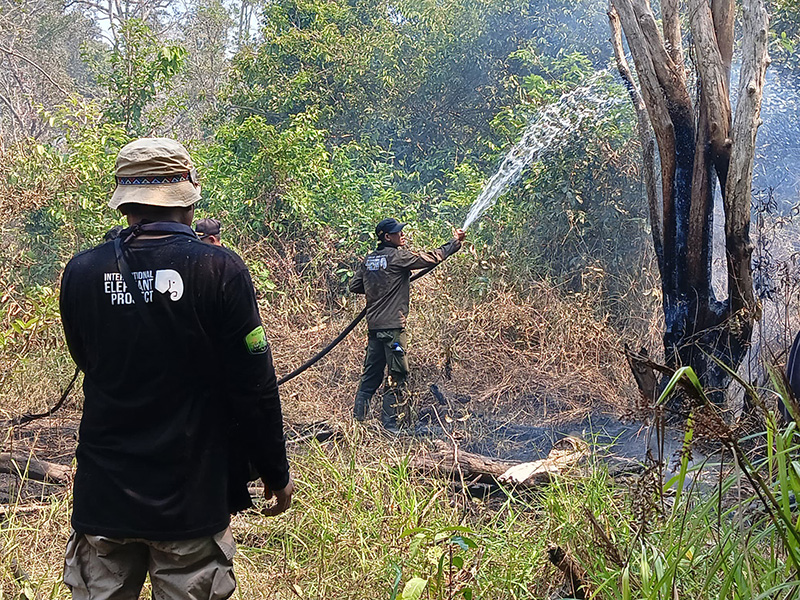Fighting Fires to Protect Elephants