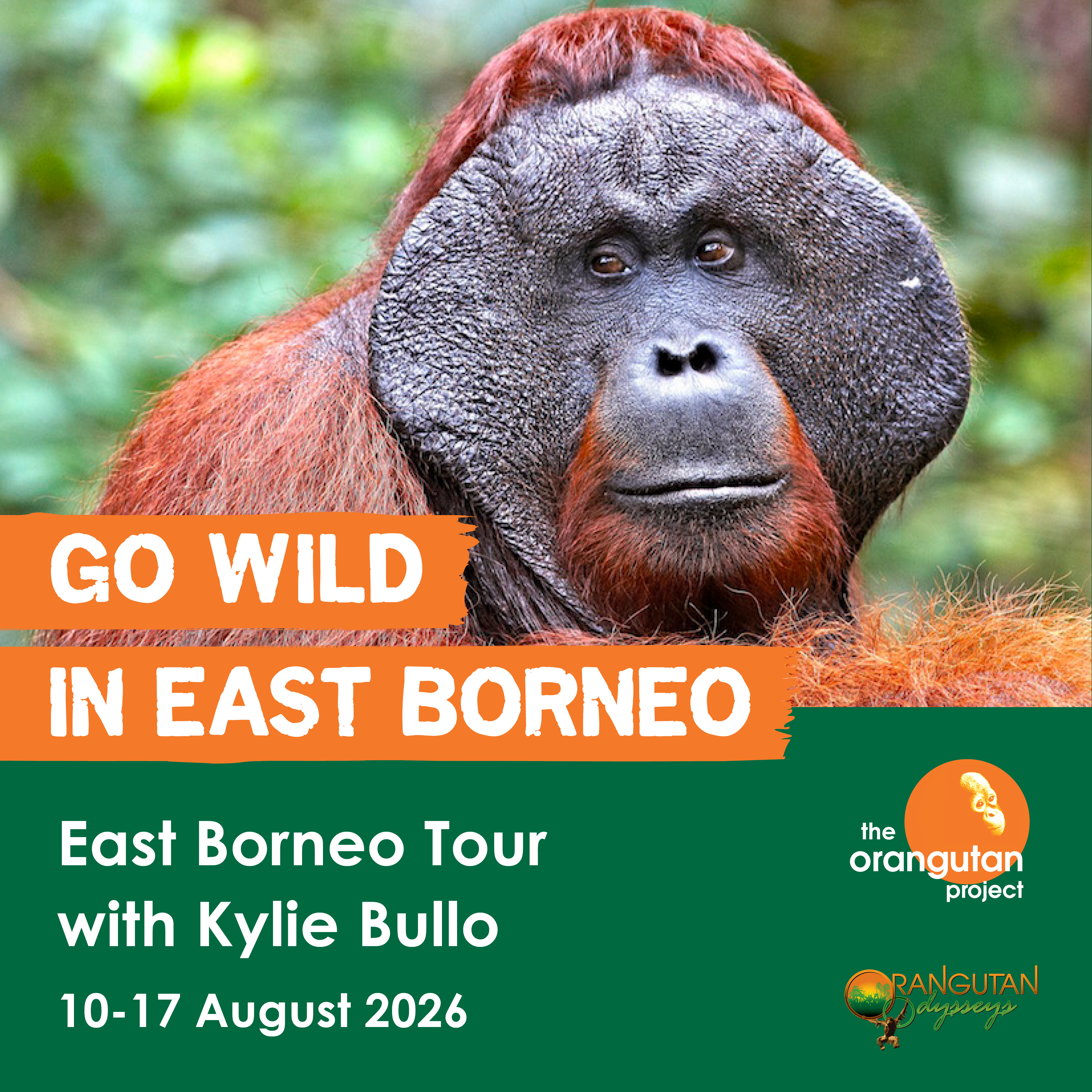 EAST BORNEO TOUR | 10-17 AUGUST 2026
