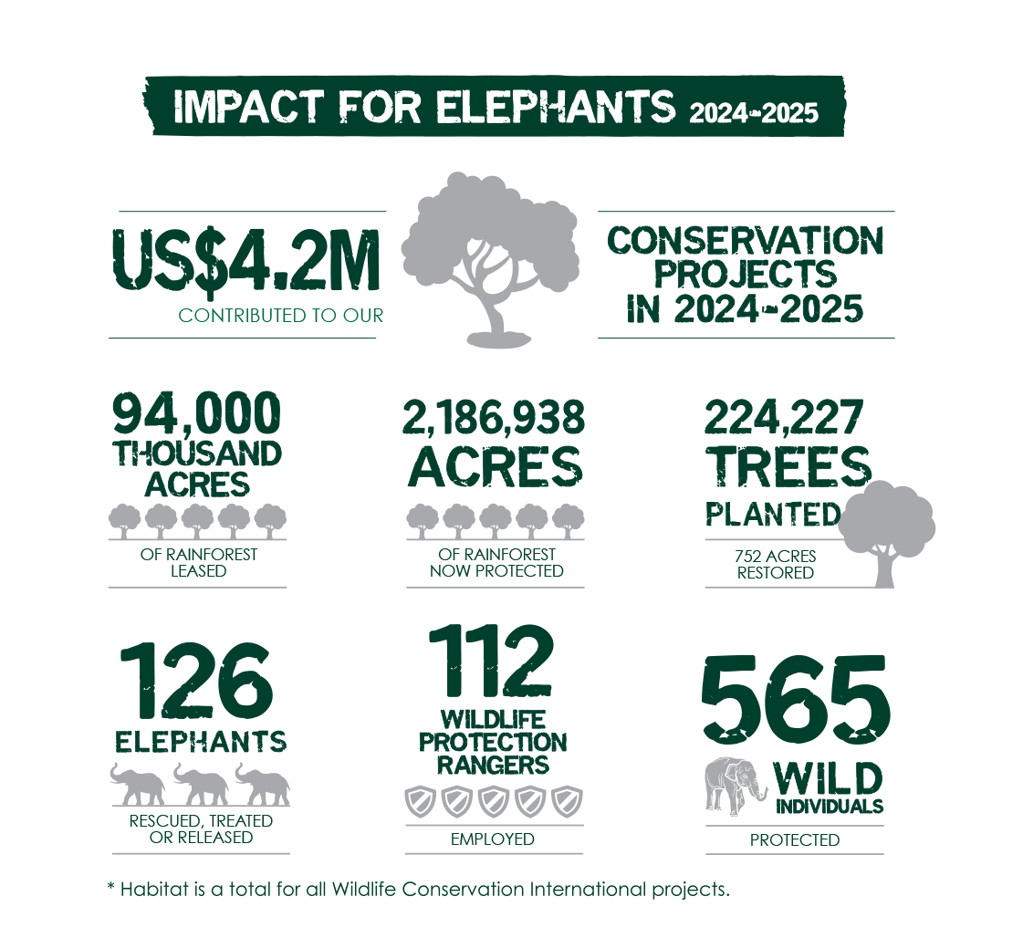 Our Impact by the Numbers