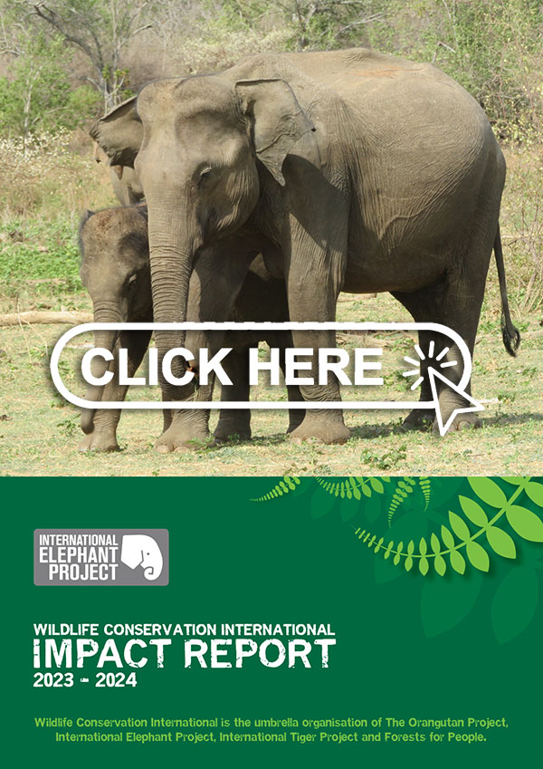 Download our Impact Report