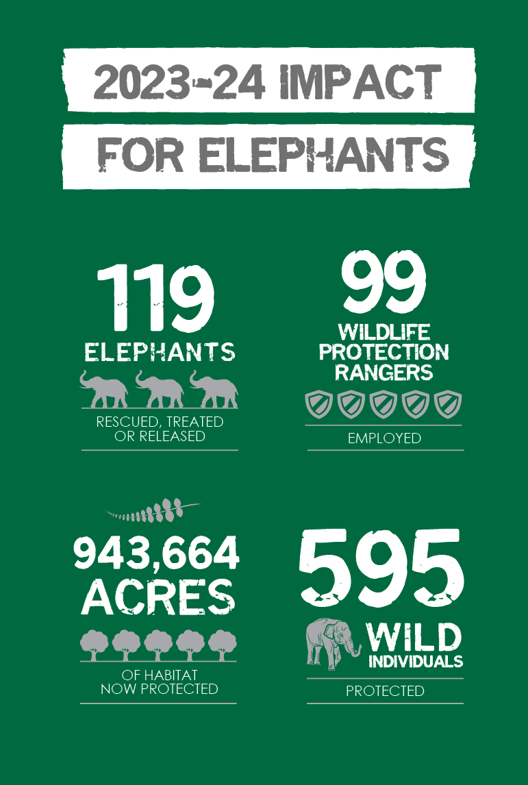 Our Impact by the Numbers